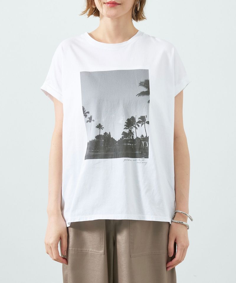 30%off]フォトプリントT-shirt-palm tree/0125209135