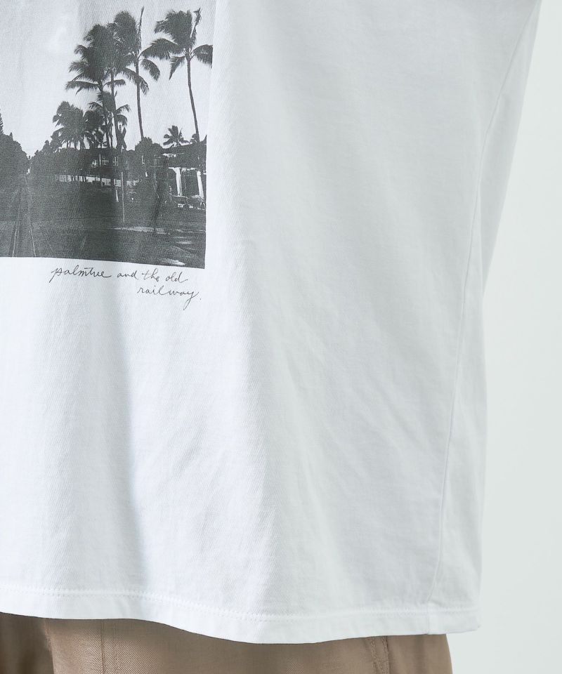 今期MICA&DEALフォトプリントT-shirt-palm treeホワイト 30%off]フォトプリントT-shirt-palm tree/0125209135