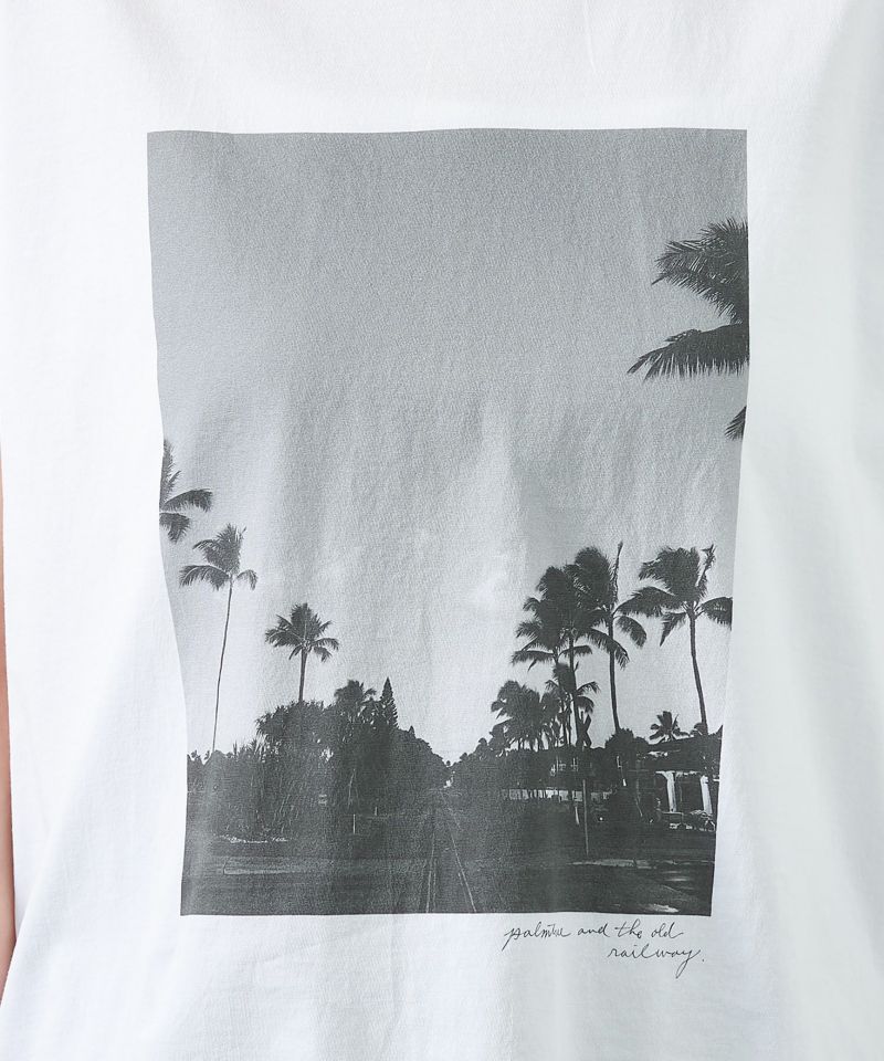 30%off]フォトプリントT-shirt-palm tree/0125209135